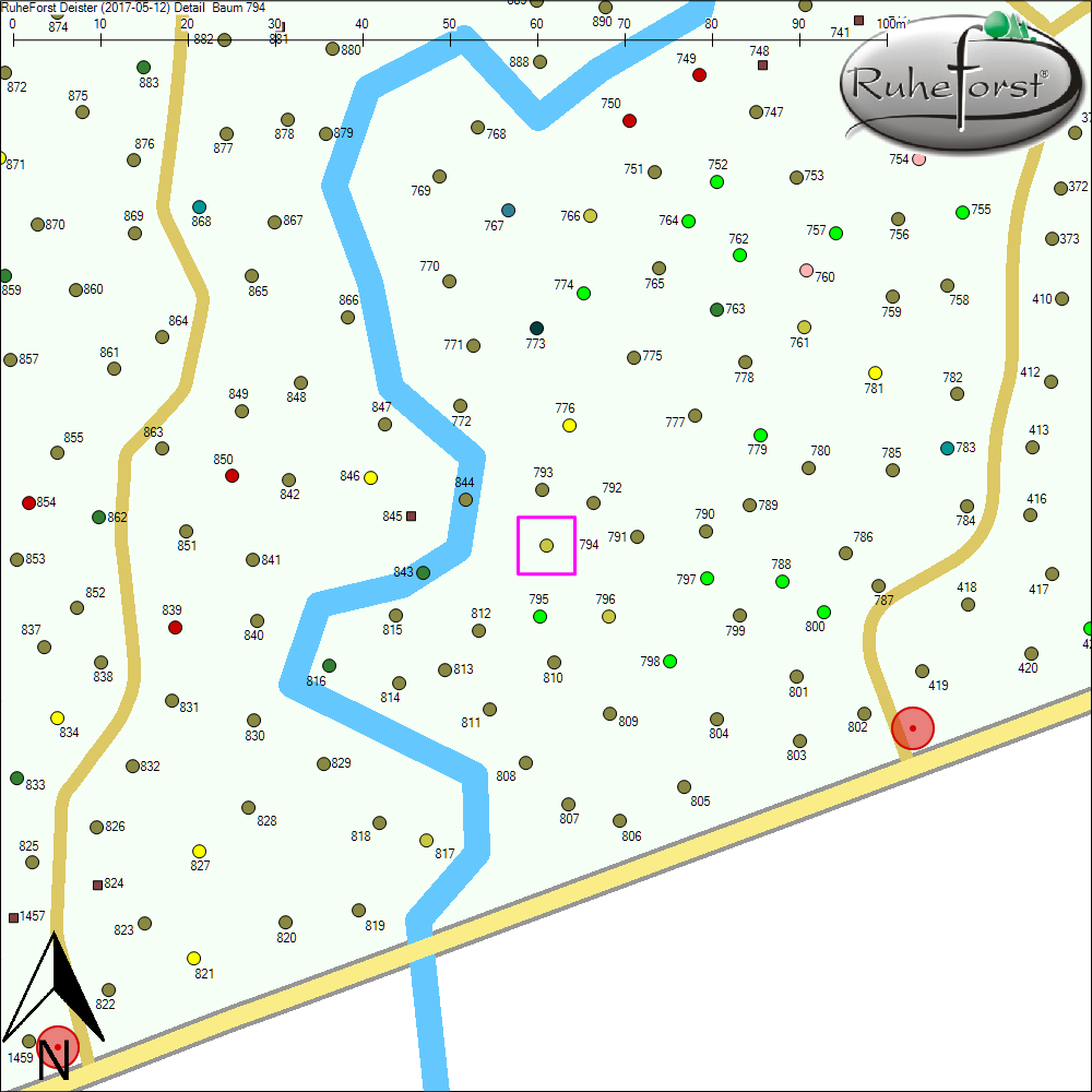 Detailkarte zu Baum 794