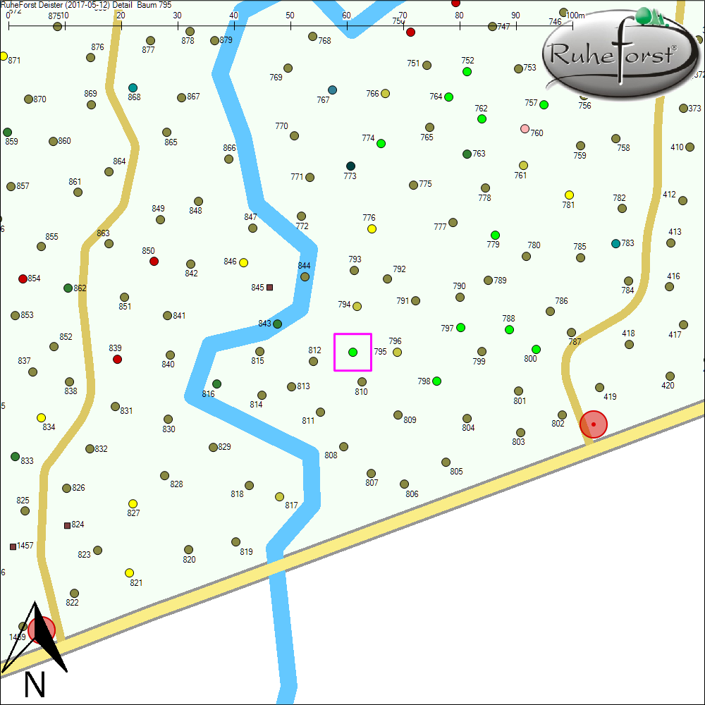 Detailkarte zu Baum 795