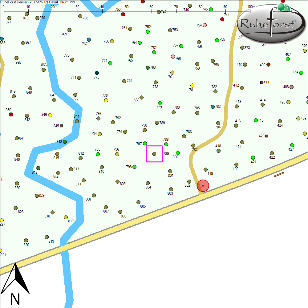 Detailkarte zu Baum 799
