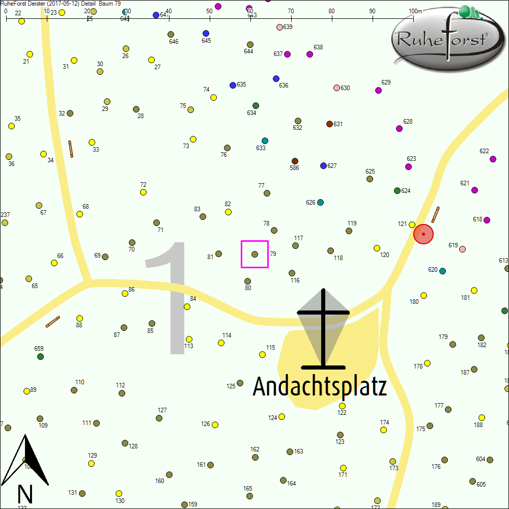 Detailkarte zu Baum 79