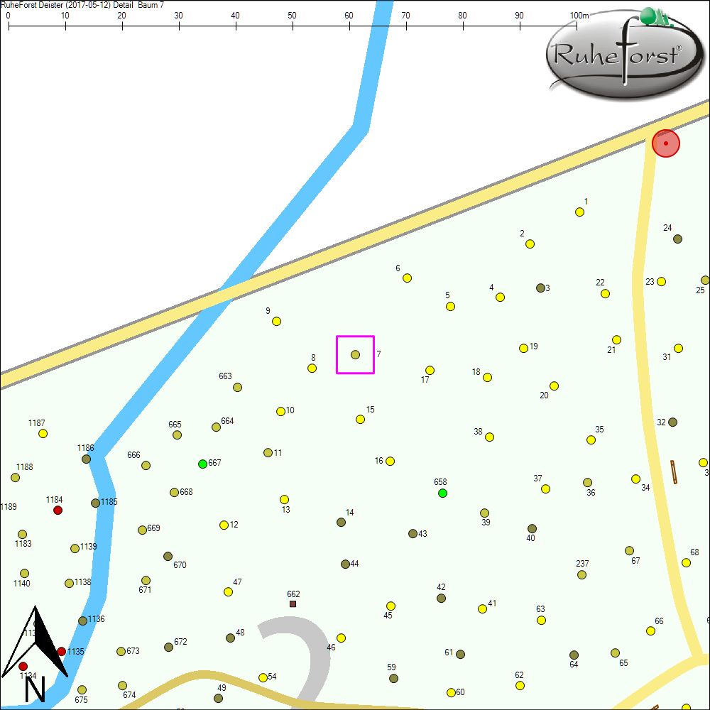 Detailkarte zu Baum 7