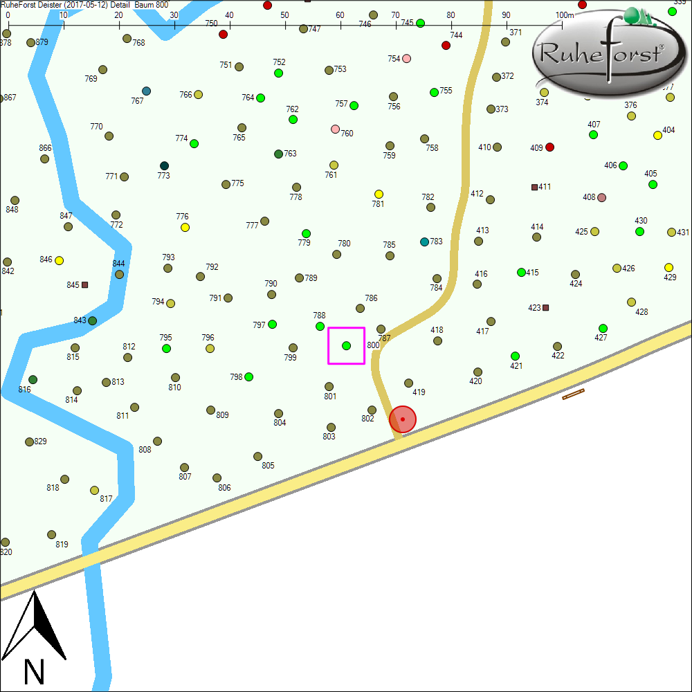 Detailkarte zu Baum 800