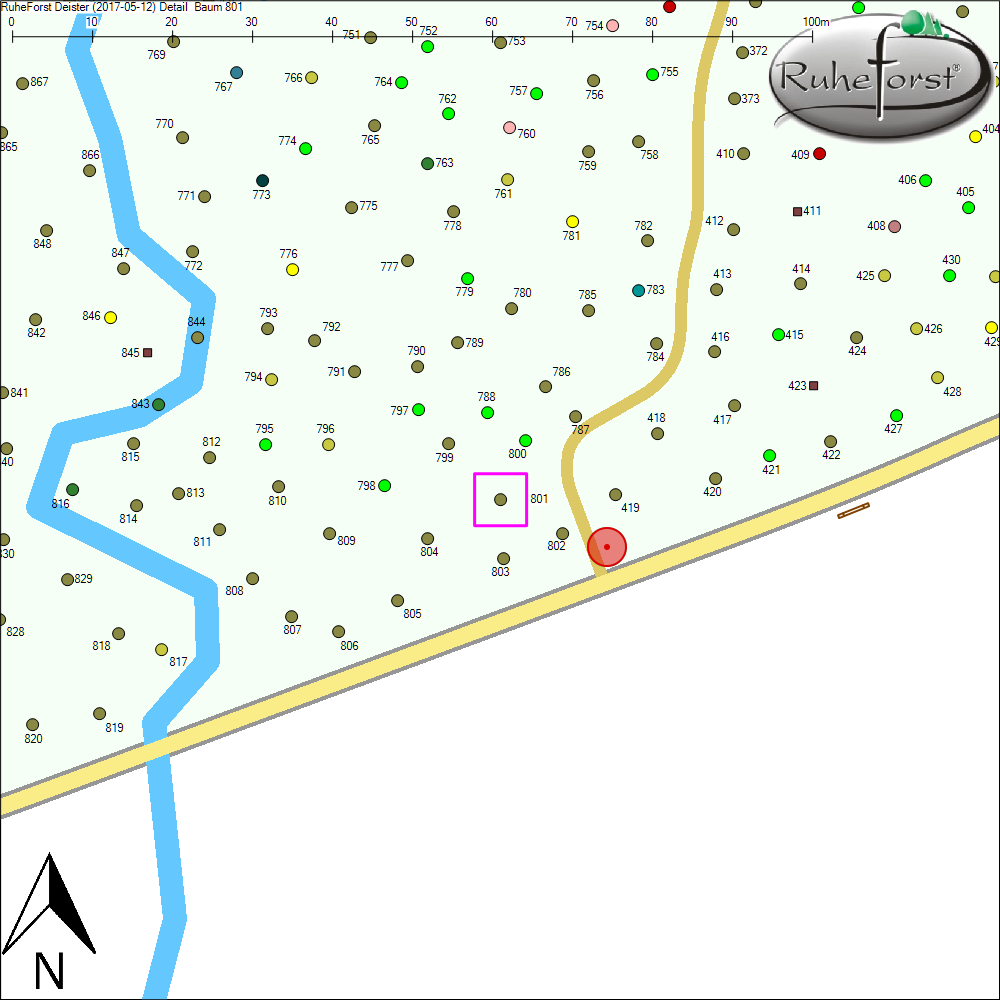 Detailkarte zu Baum 801