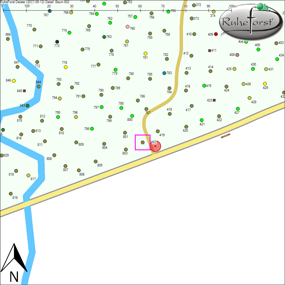 Detailkarte zu Baum 802