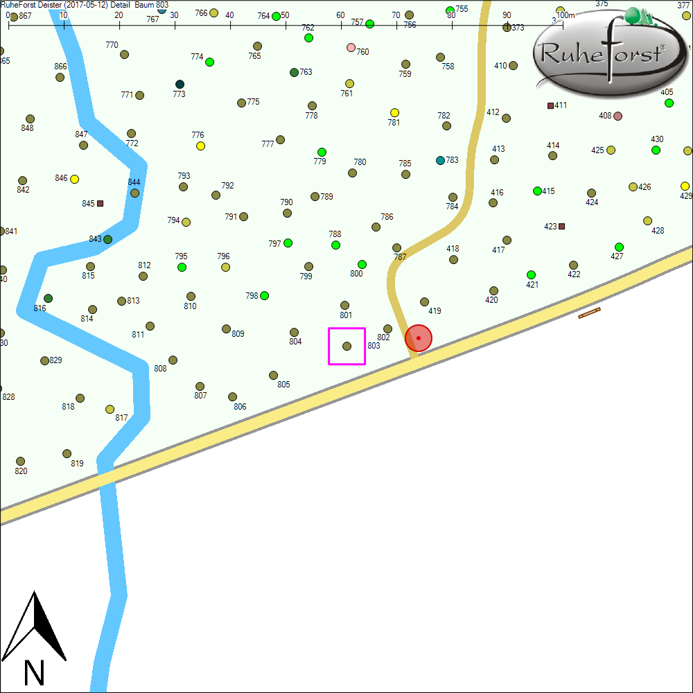 Detailkarte zu Baum 803