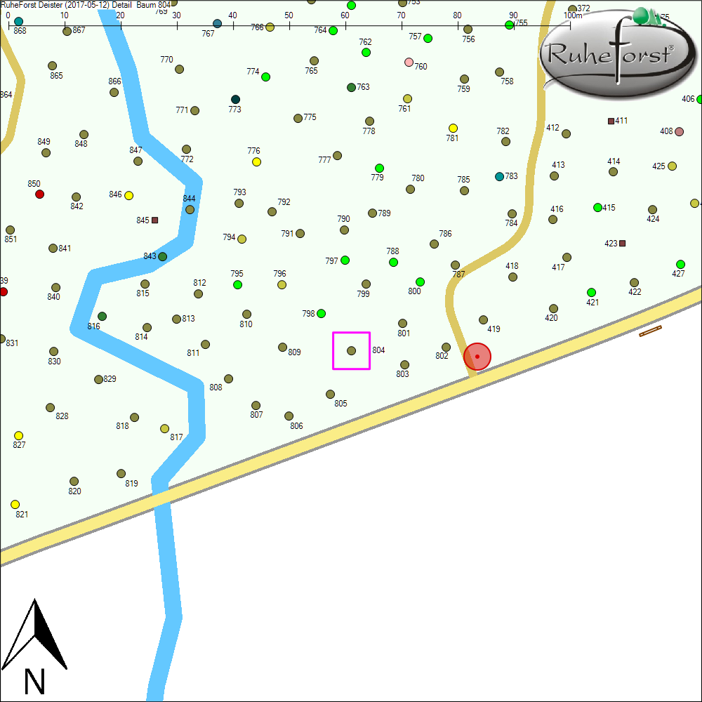 Detailkarte zu Baum 804