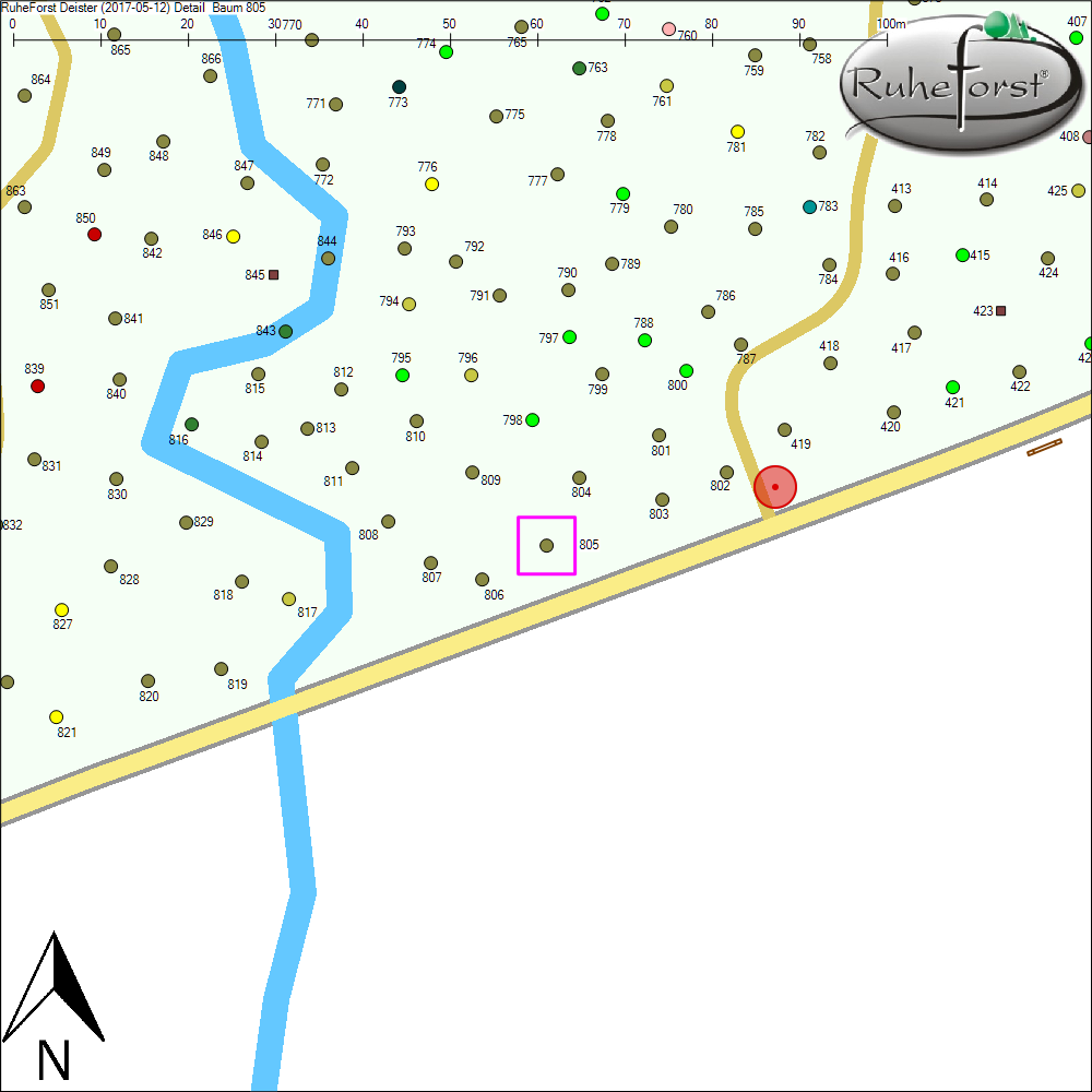 Detailkarte zu Baum 805