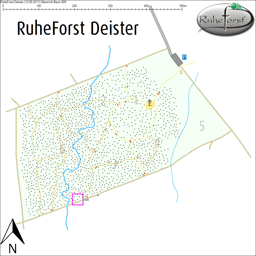 &Uuml;bersichtskarte zu Baum 805