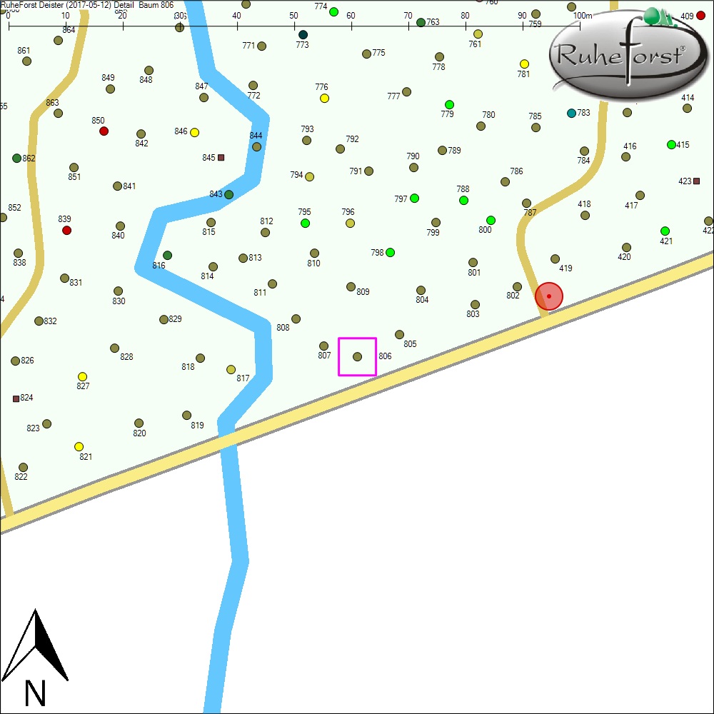 Detailkarte zu Baum 806