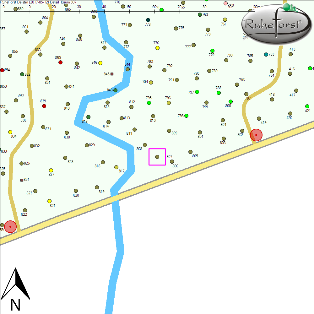 Detailkarte zu Baum 807