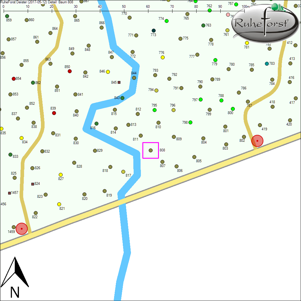 Detailkarte zu Baum 808