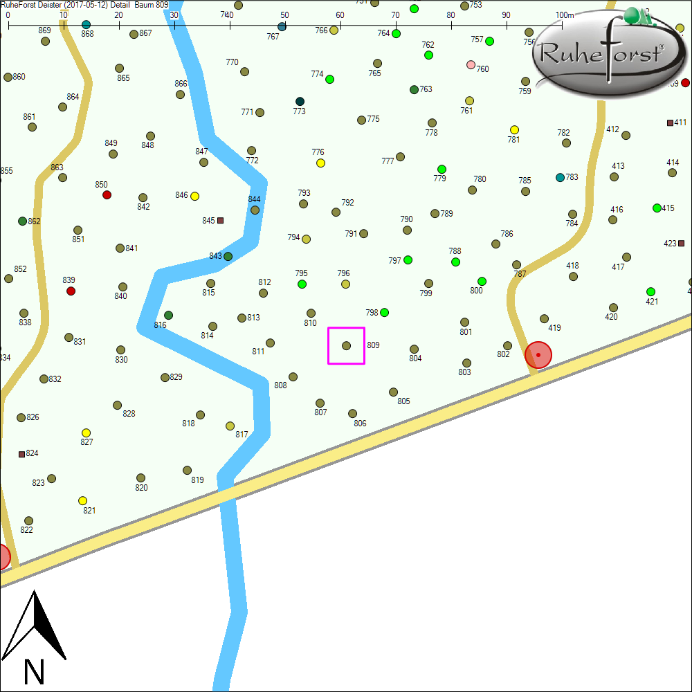 Detailkarte zu Baum 809