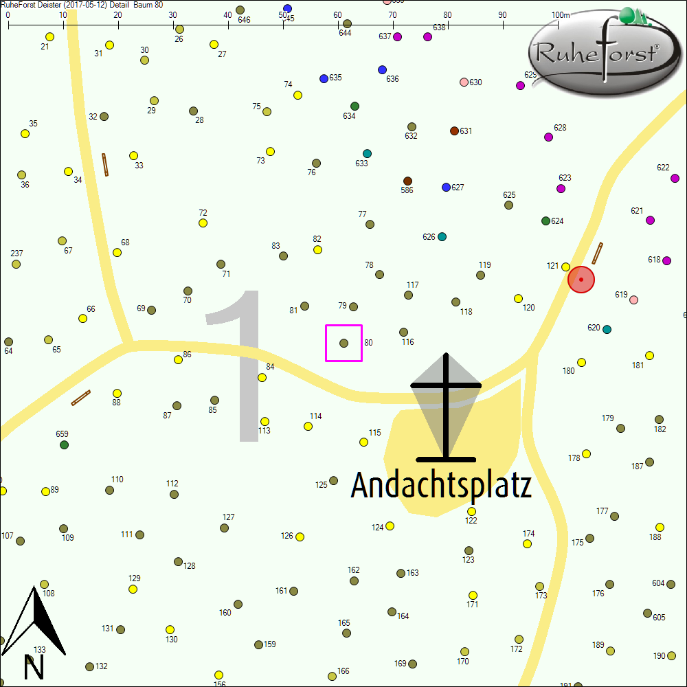 Detailkarte zu Baum 80