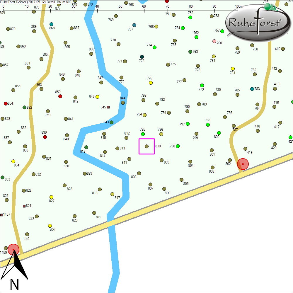 Detailkarte zu Baum 810