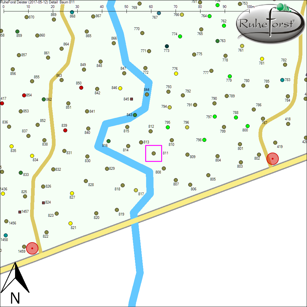 Detailkarte zu Baum 811