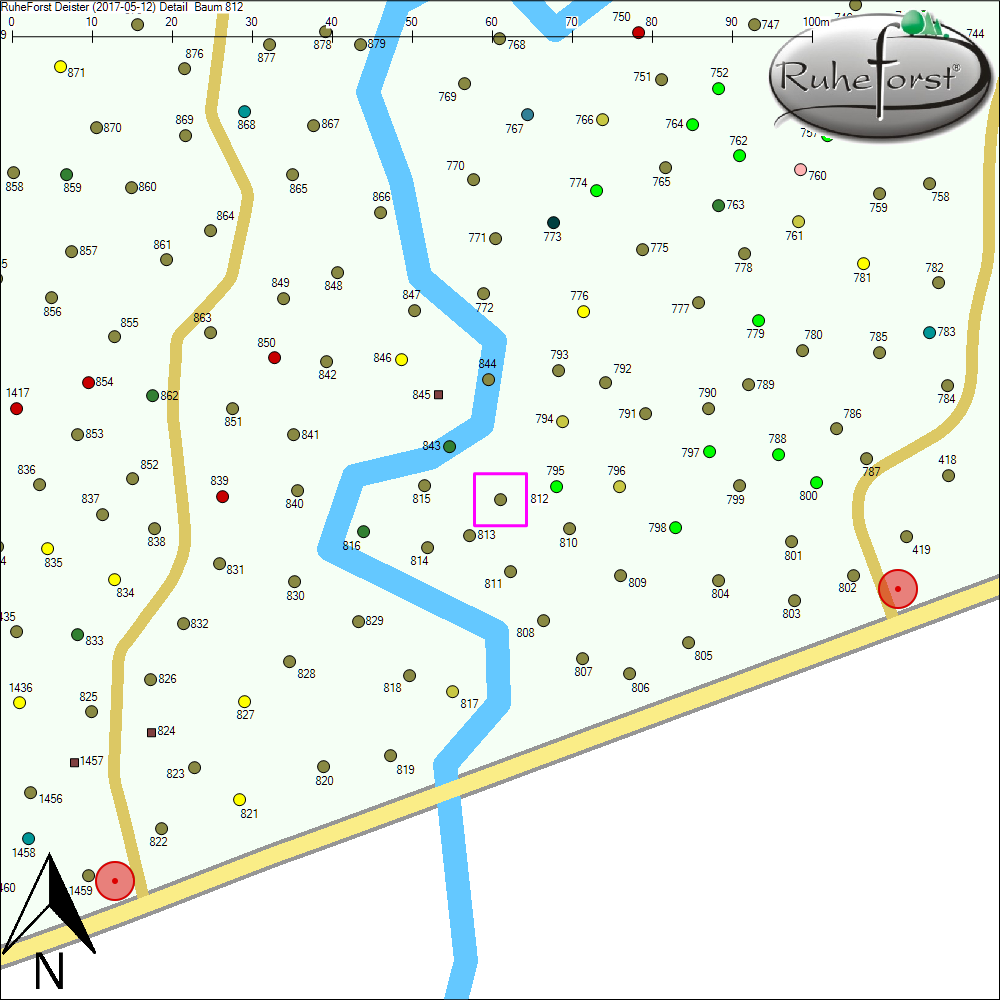 Detailkarte zu Baum 812