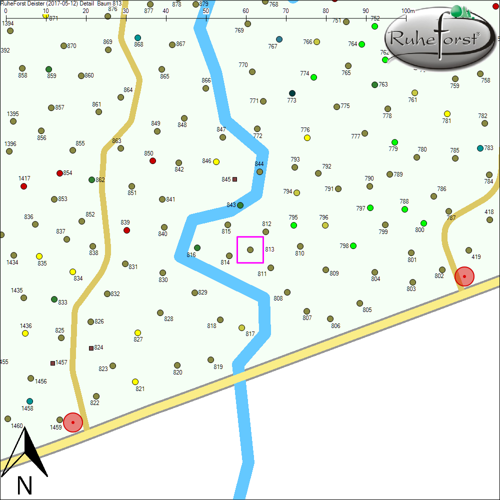 Detailkarte zu Baum 813