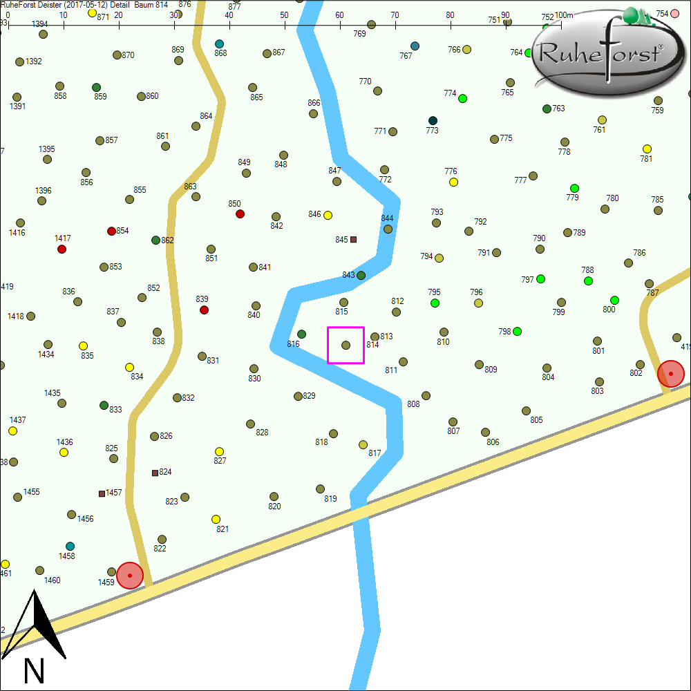 Detailkarte zu Baum 814