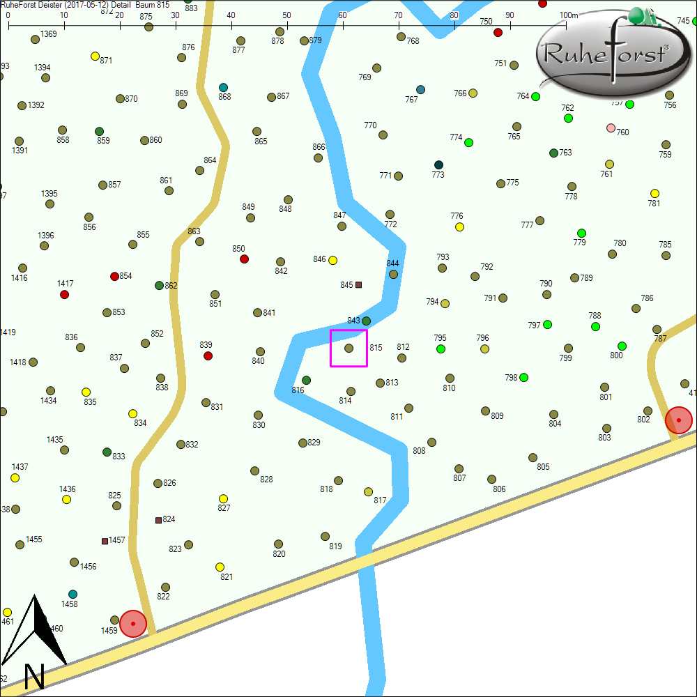 Detailkarte zu Baum 815