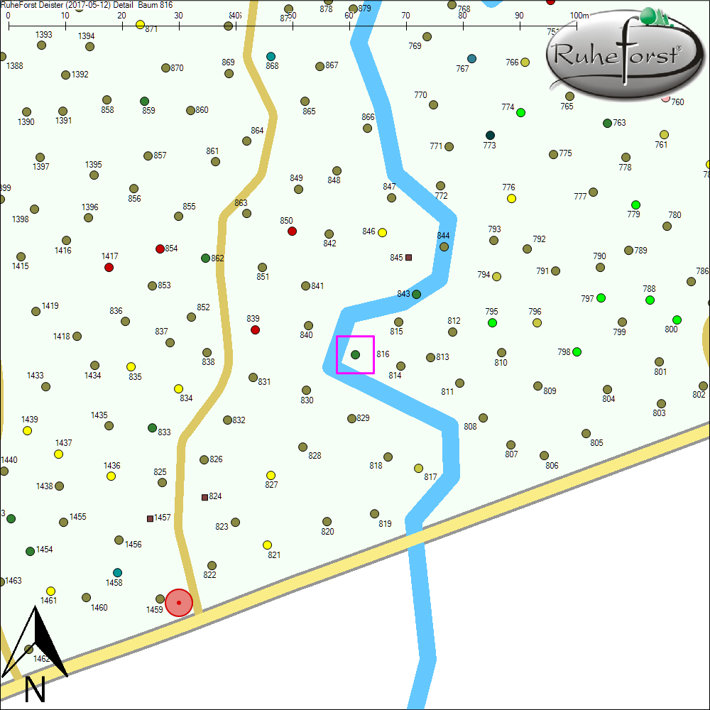 Detailkarte zu Baum 816