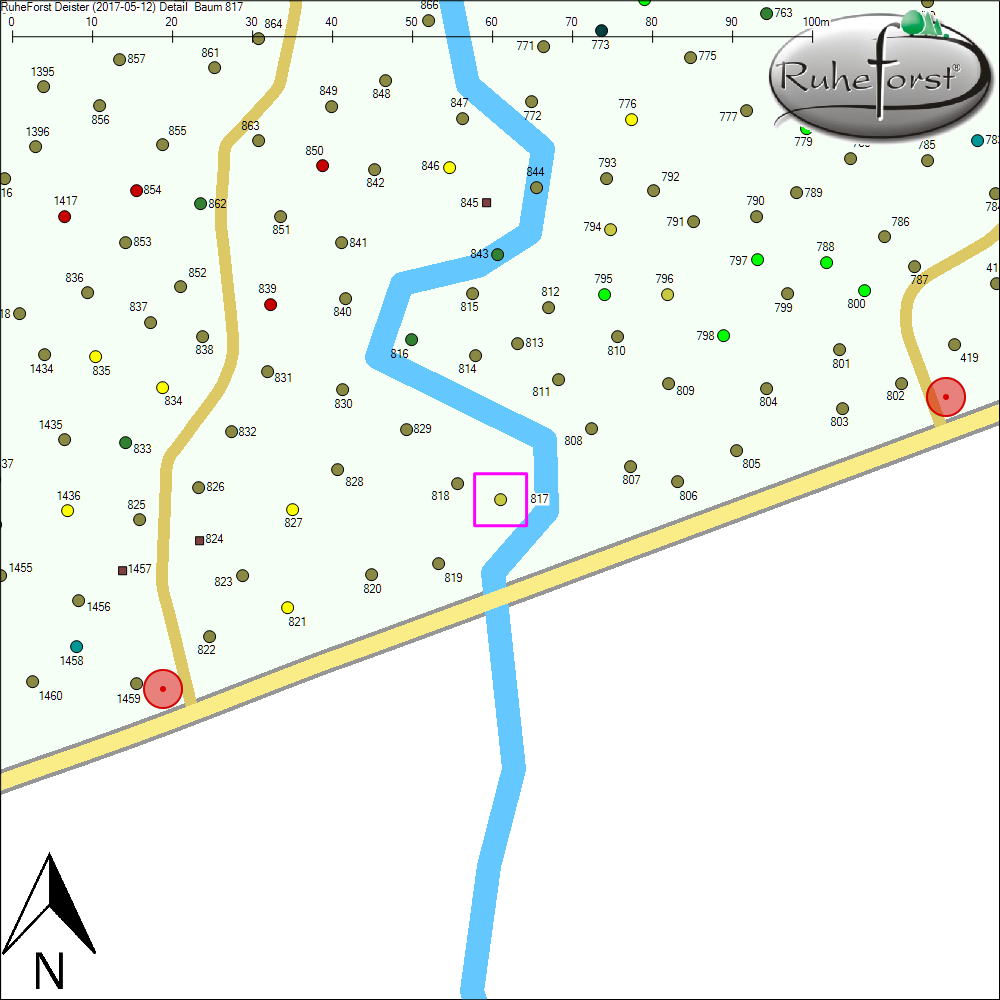 Detailkarte zu Baum 817
