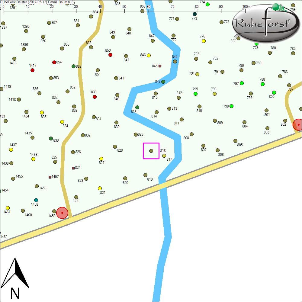 Detailkarte zu Baum 818