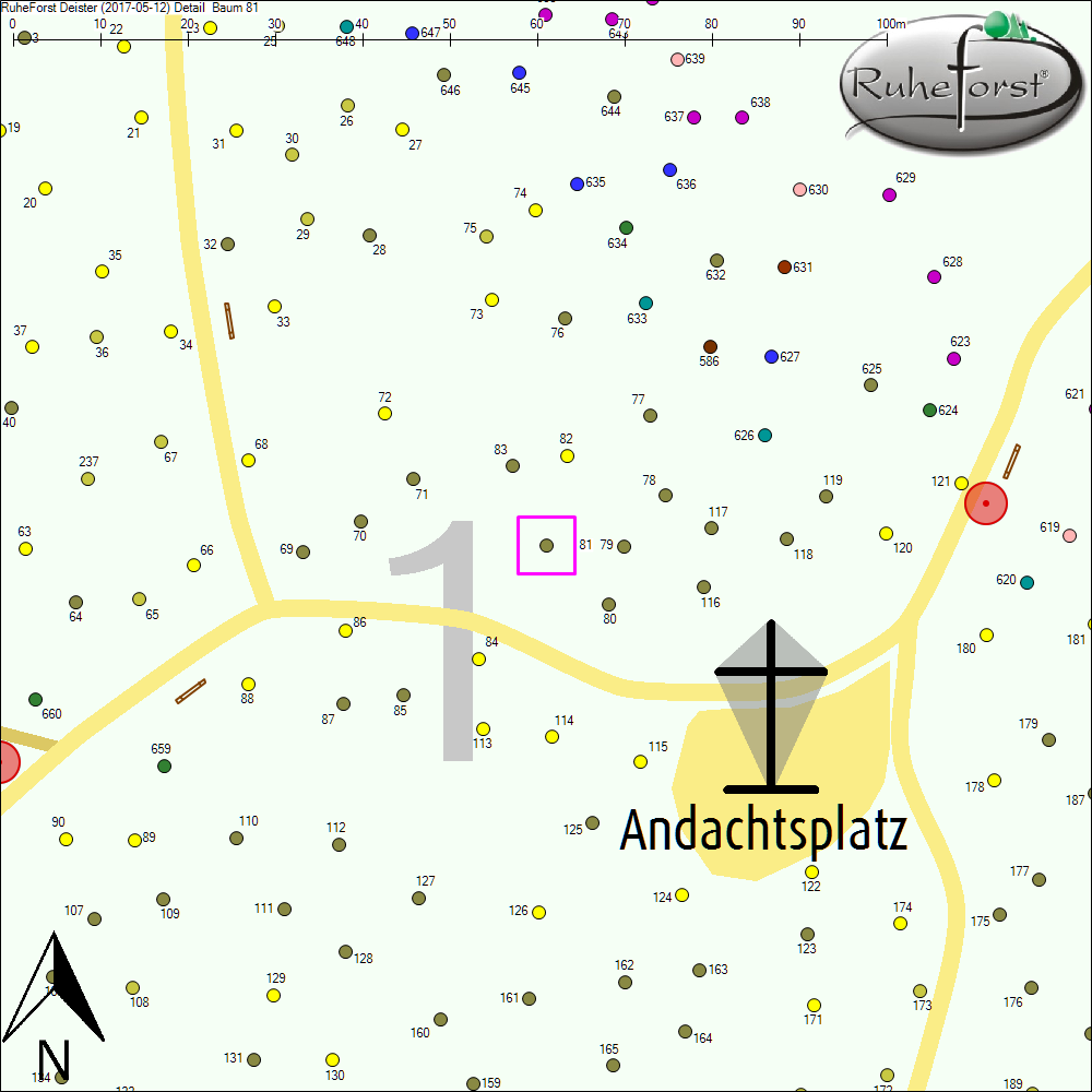 Detailkarte zu Baum 81