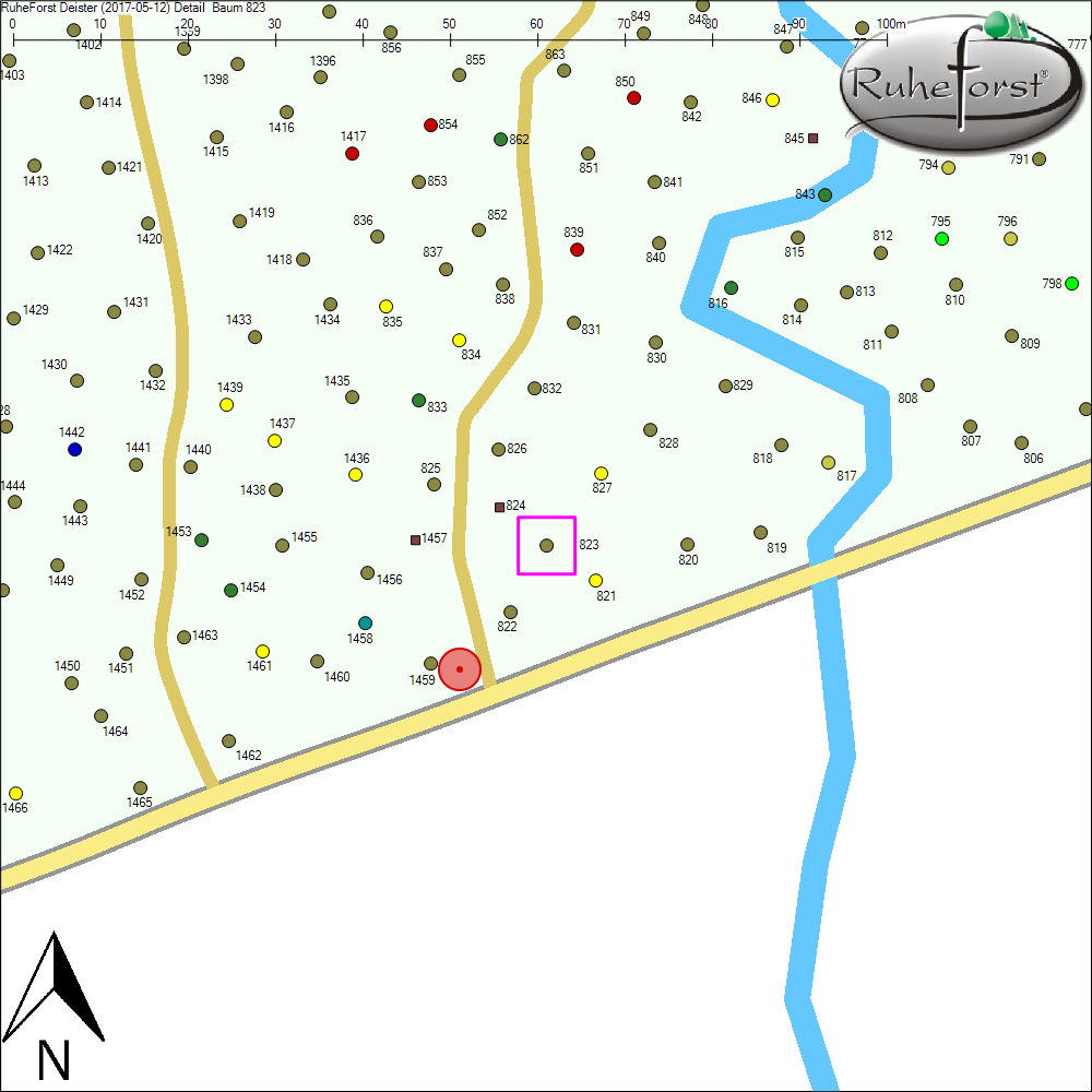 Detailkarte zu Baum 823