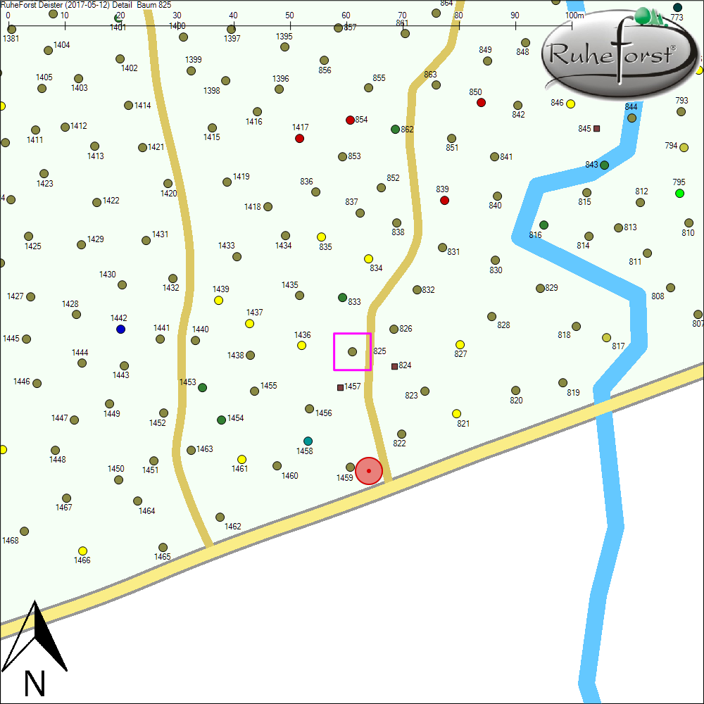 Detailkarte zu Baum 825