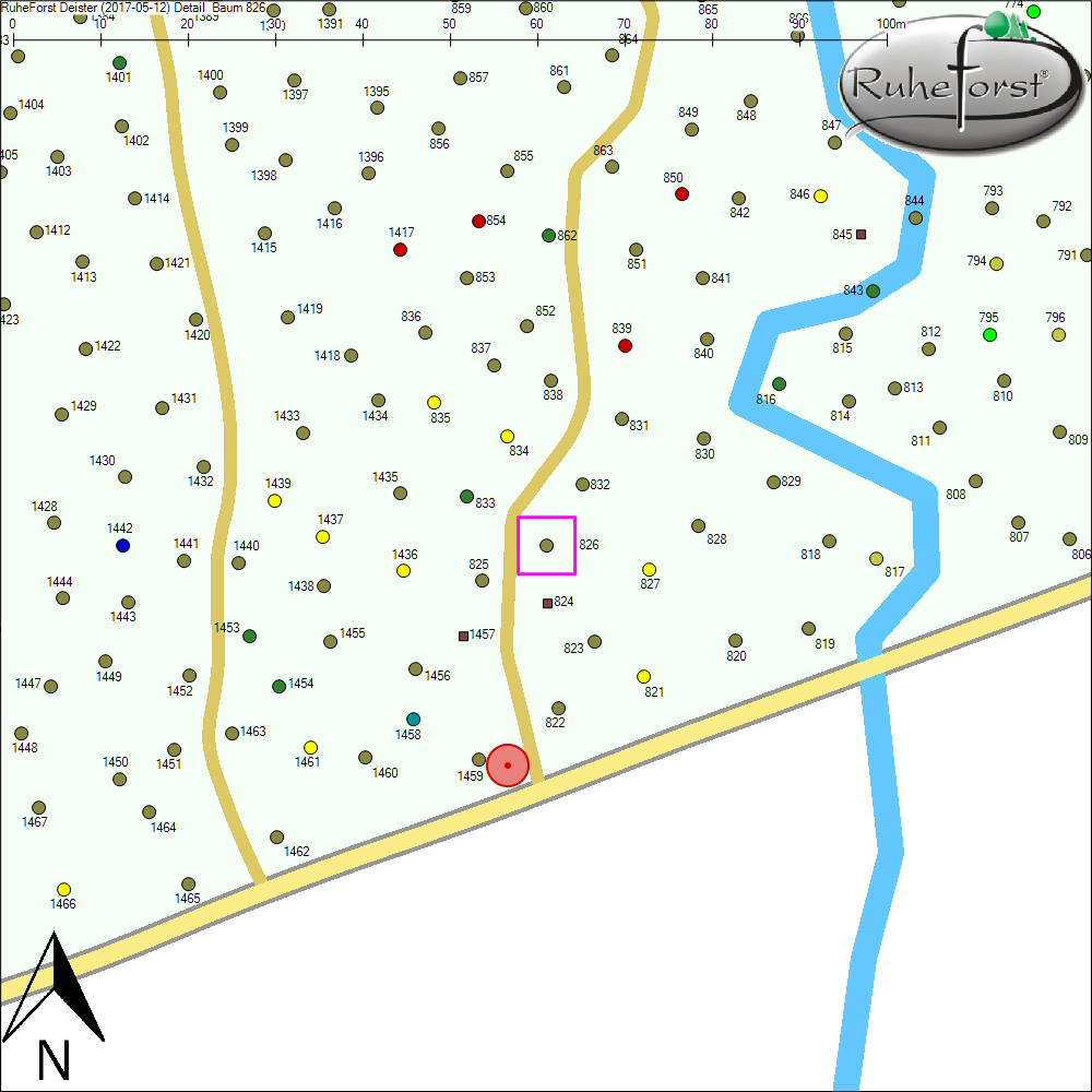 Detailkarte zu Baum 826