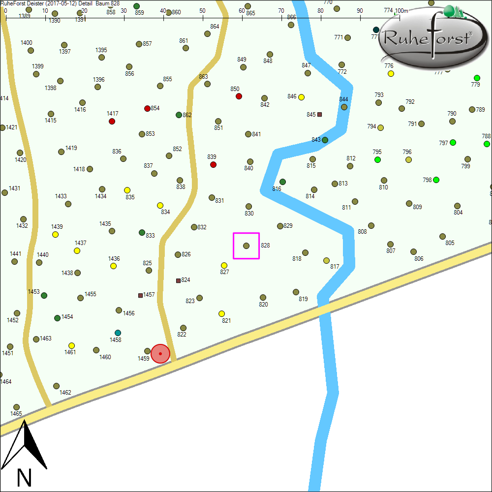 Detailkarte zu Baum 828