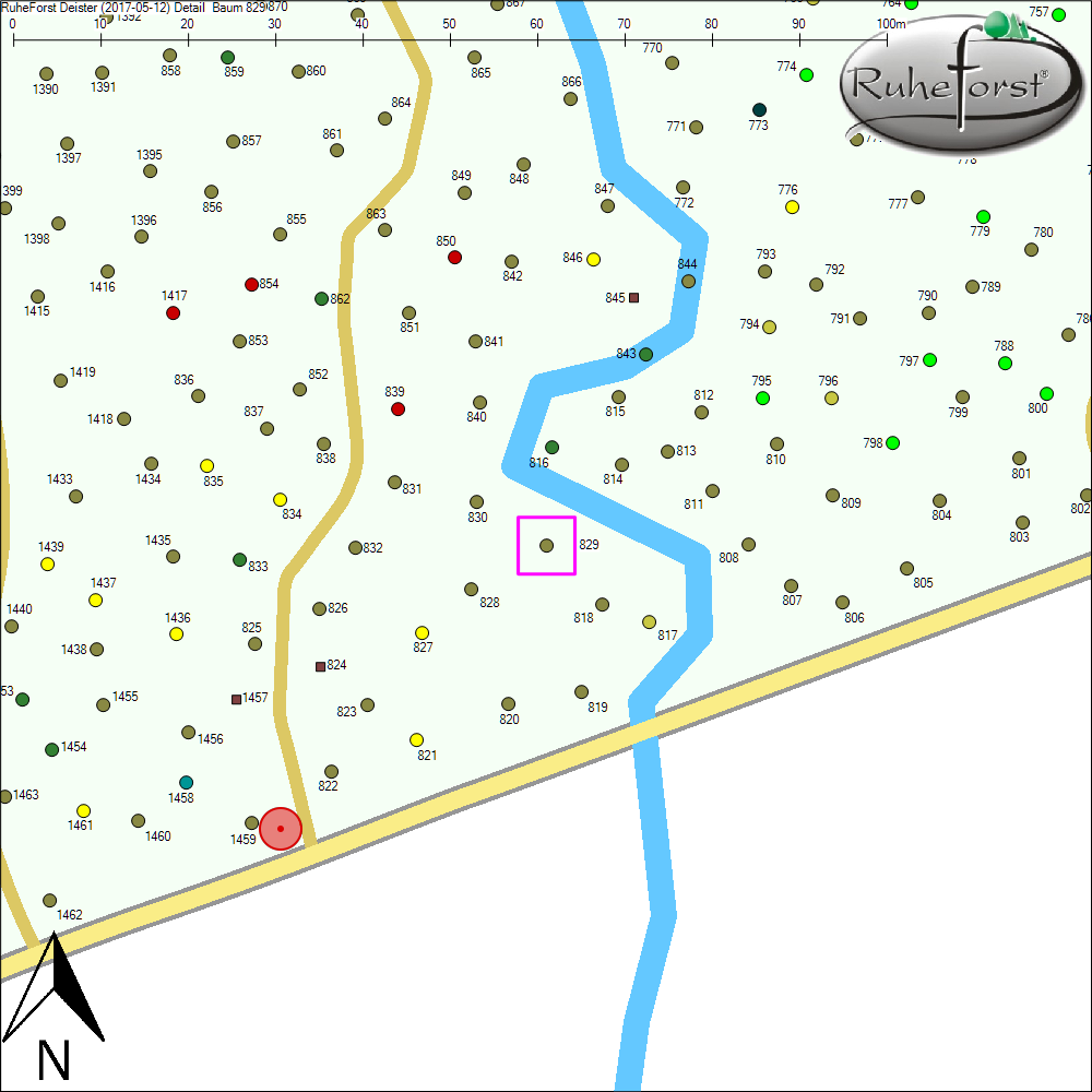 Detailkarte zu Baum 829