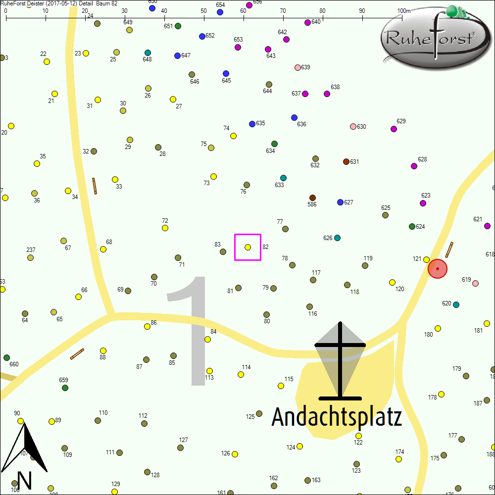 Detailkarte zu Baum 82
