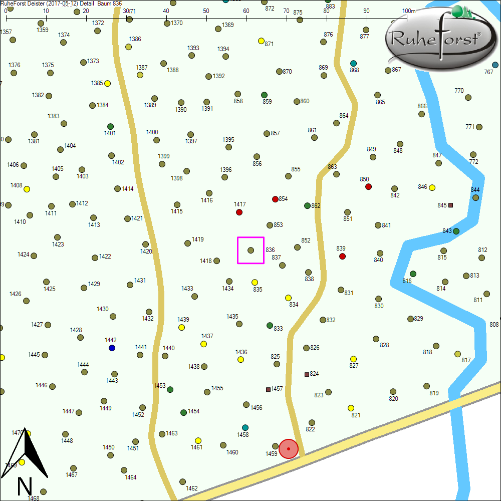 Detailkarte zu Baum 836