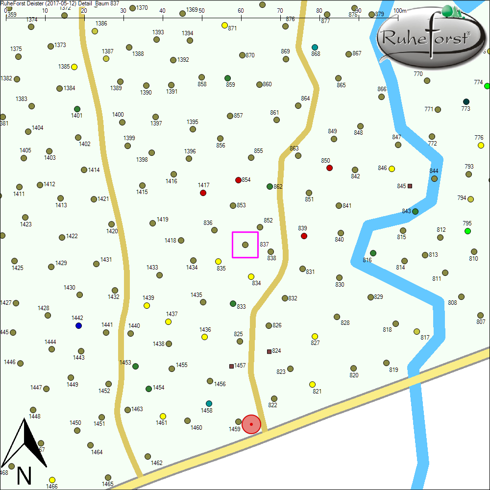 Detailkarte zu Baum 837