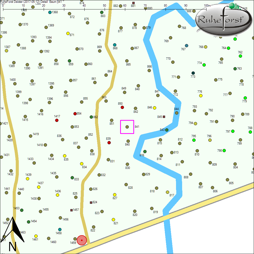 Detailkarte zu Baum 841