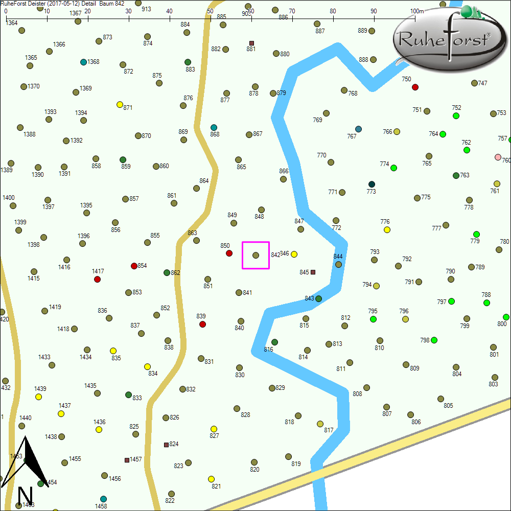 Detailkarte zu Baum 842