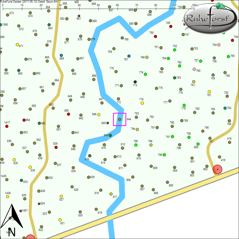 Detailkarte zu Baum 844