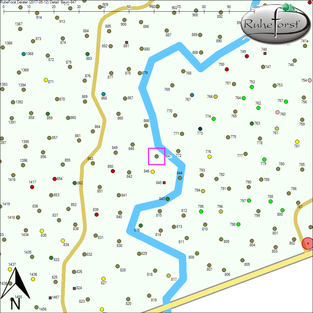 Detailkarte zu Baum 847