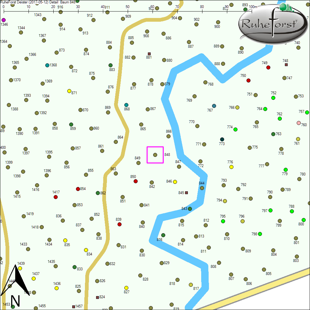 Detailkarte zu Baum 848