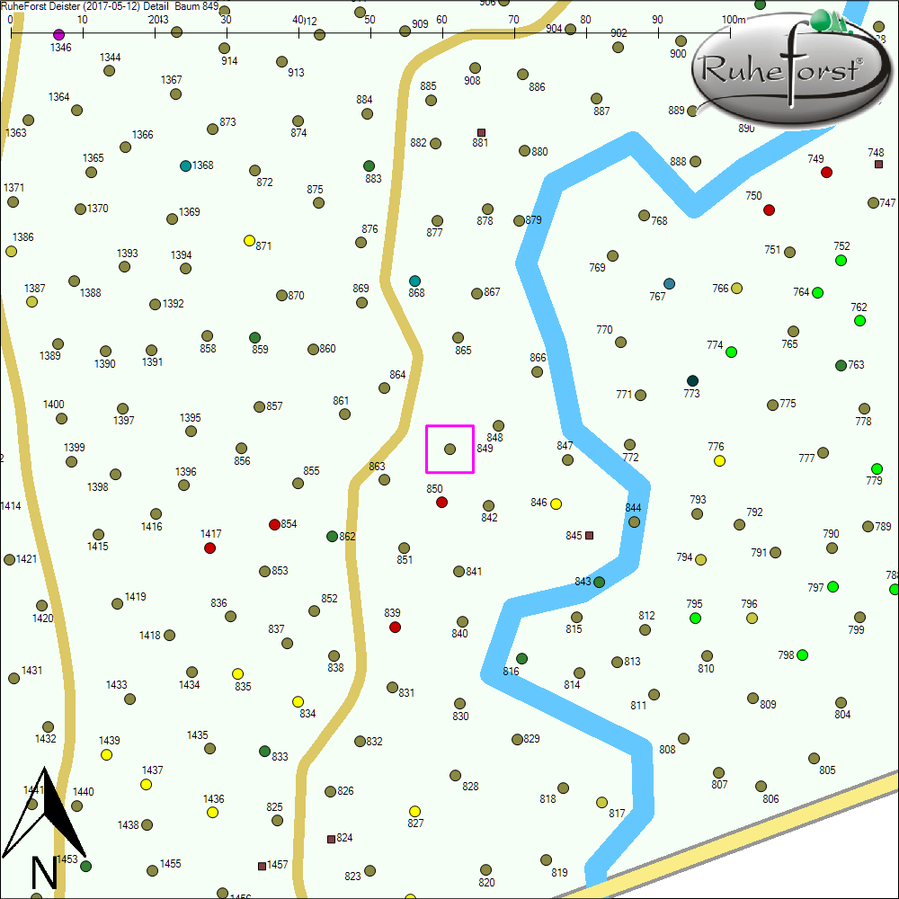 Detailkarte zu Baum 849