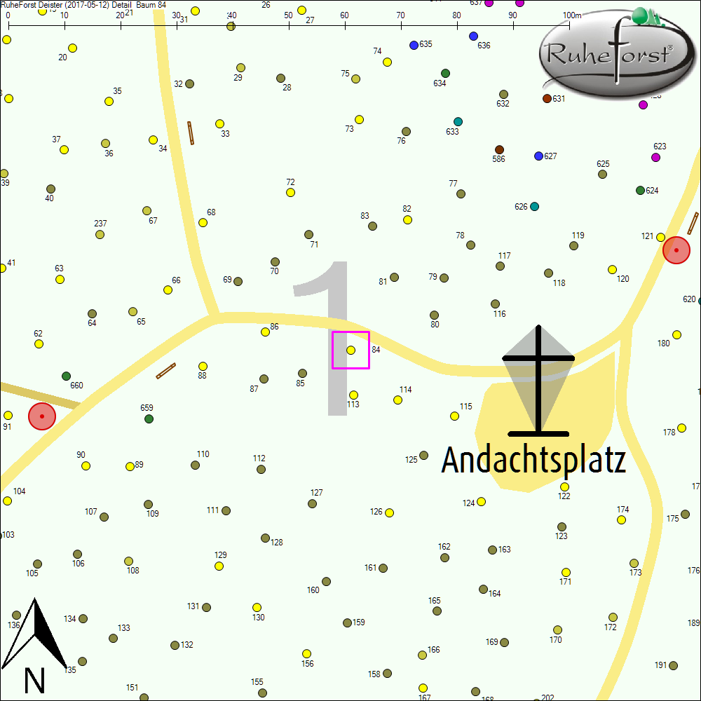 Detailkarte zu Baum 84