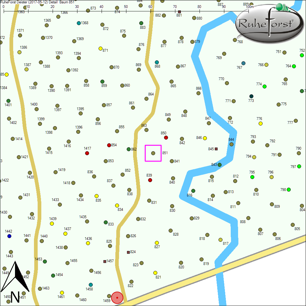 Detailkarte zu Baum 851