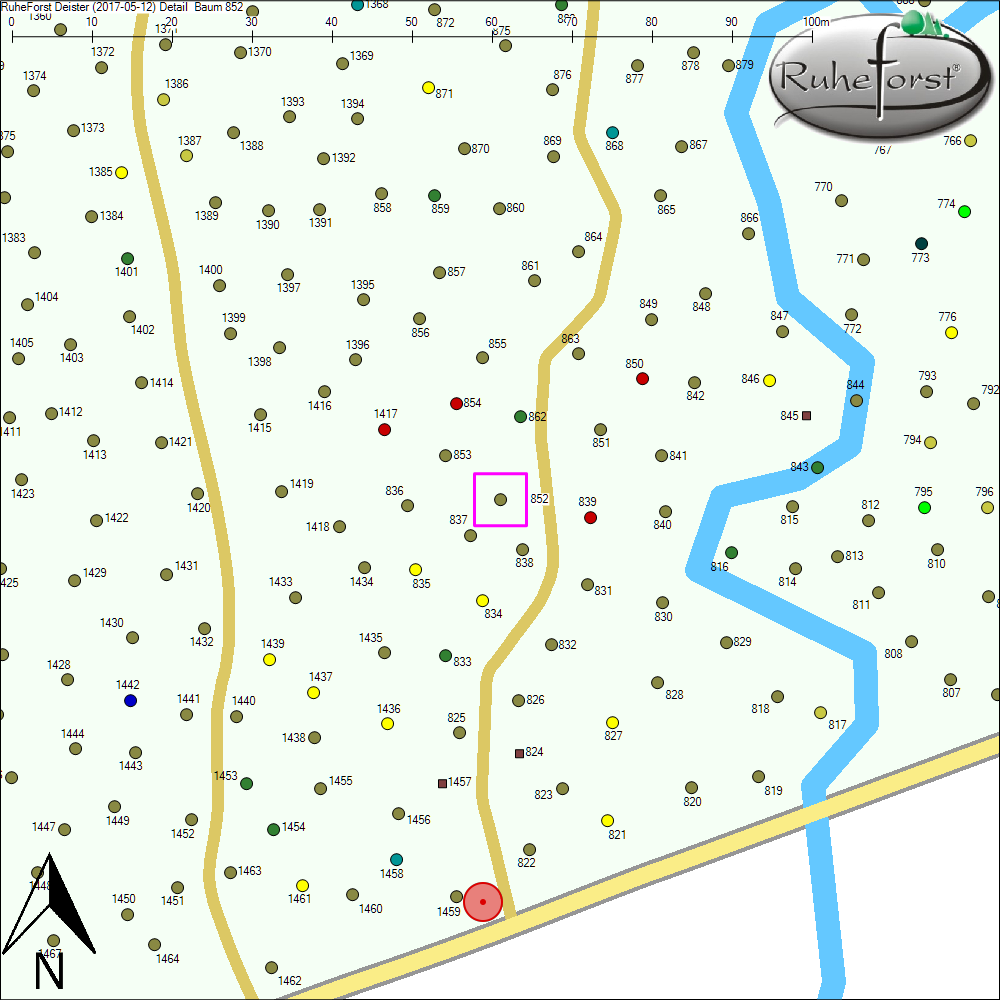 Detailkarte zu Baum 852