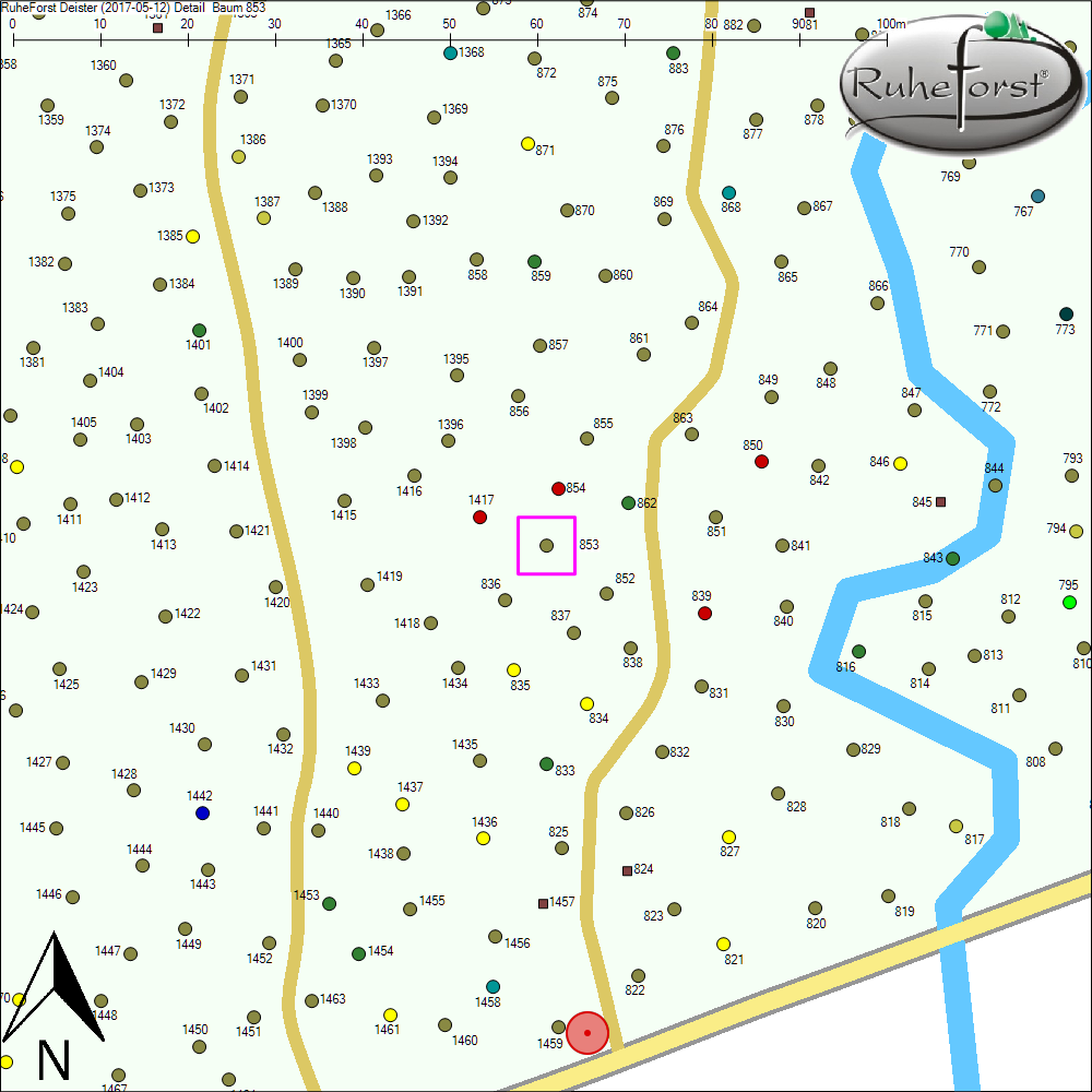 Detailkarte zu Baum 853