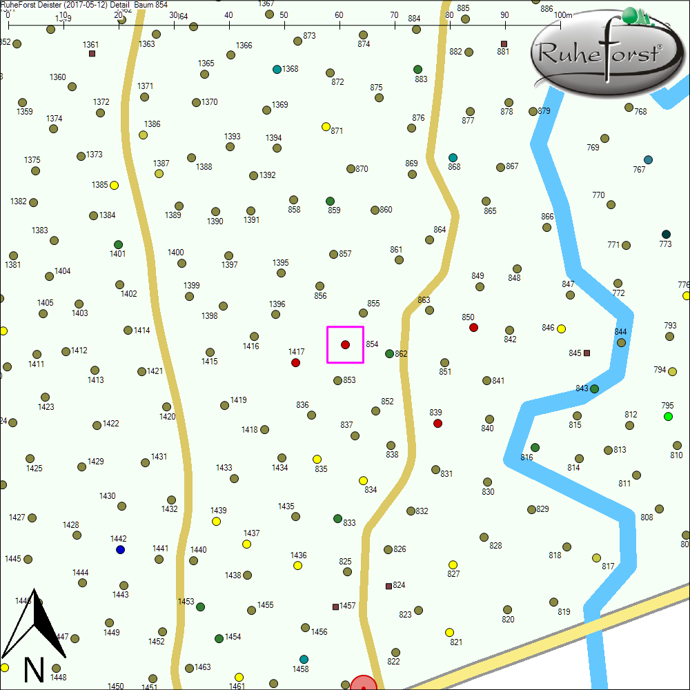 Detailkarte zu Baum 854