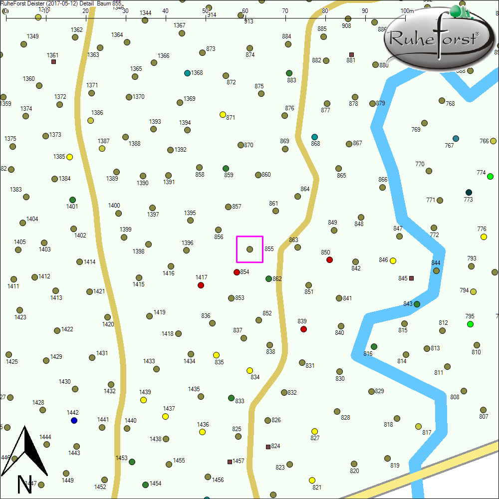 Detailkarte zu Baum 855