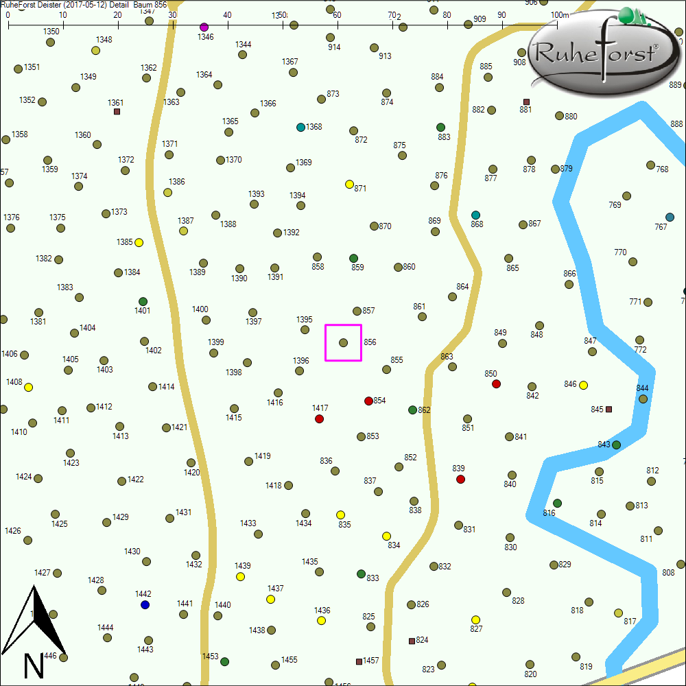 Detailkarte zu Baum 856