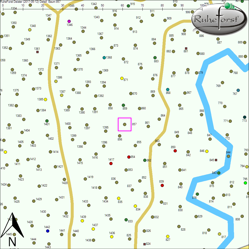 Detailkarte zu Baum 857