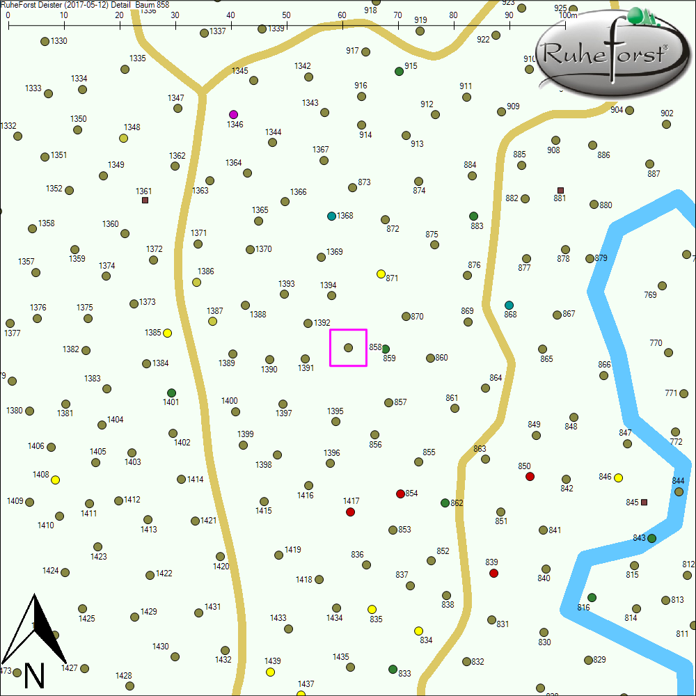 Detailkarte zu Baum 858